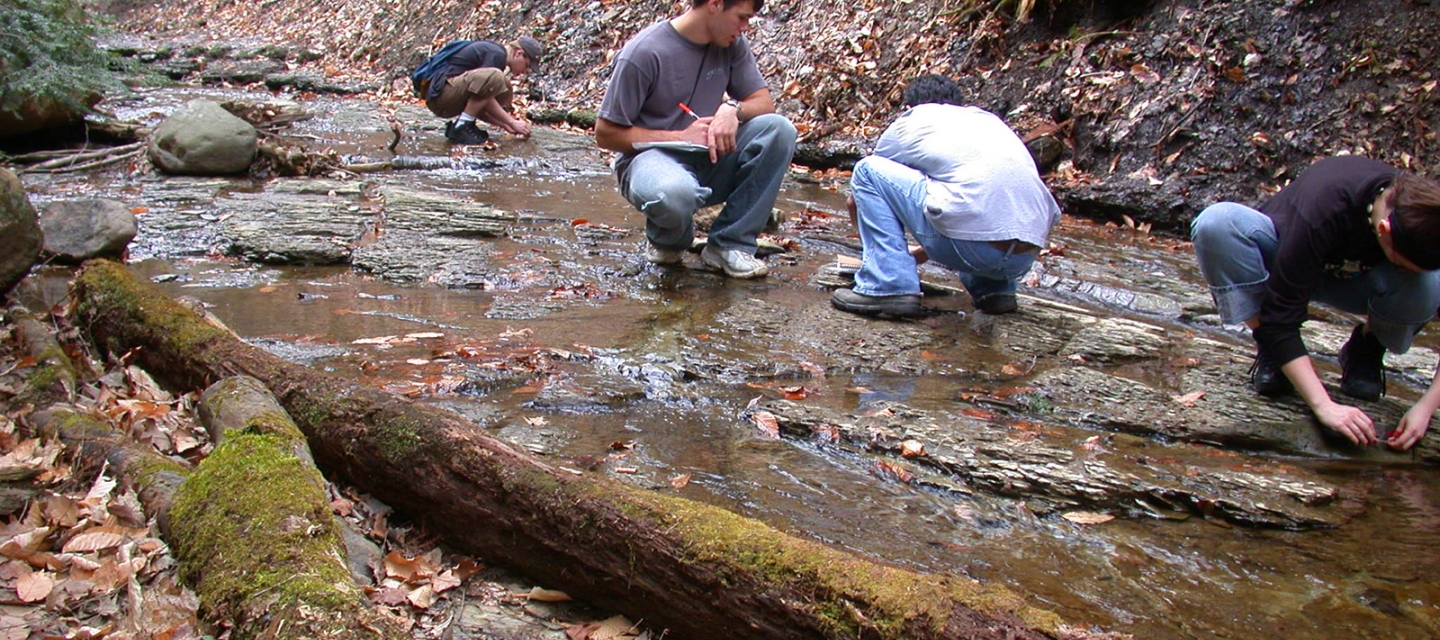 Students doing field work