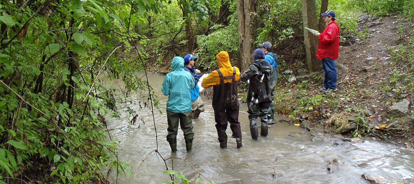 Geography students working in the field.